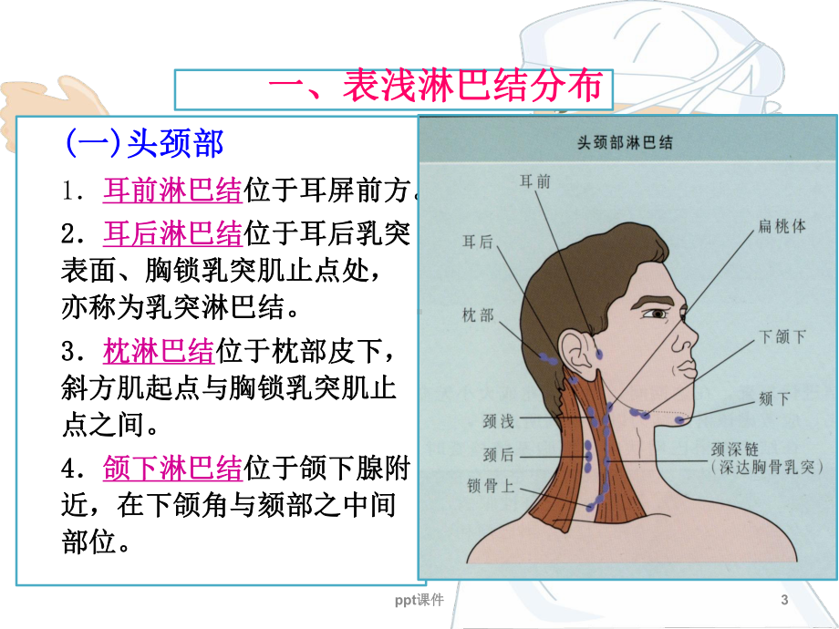 一般检查第三节淋巴结课件.ppt_第3页