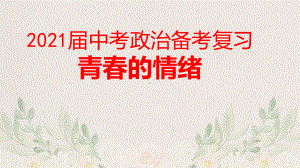 2021届中考政治备考复习-青春的情绪课件.pptx