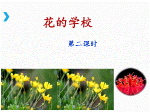 《花的学校》(第二课时)课件.ppt