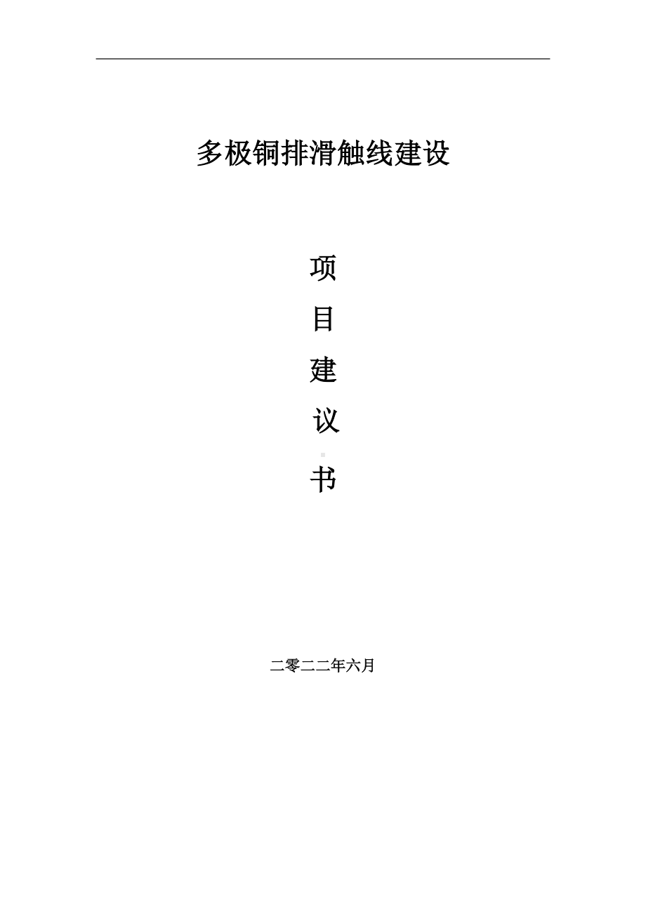 多极铜排滑触线项目建议书（写作模板）.doc_第1页