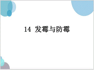 青岛版（五四学制）五年级上册科学14发霉与防霉.pptx