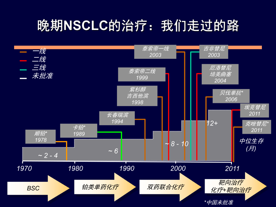 EGFR突变的非小细胞肺癌患者一线治疗课件.ppt_第2页