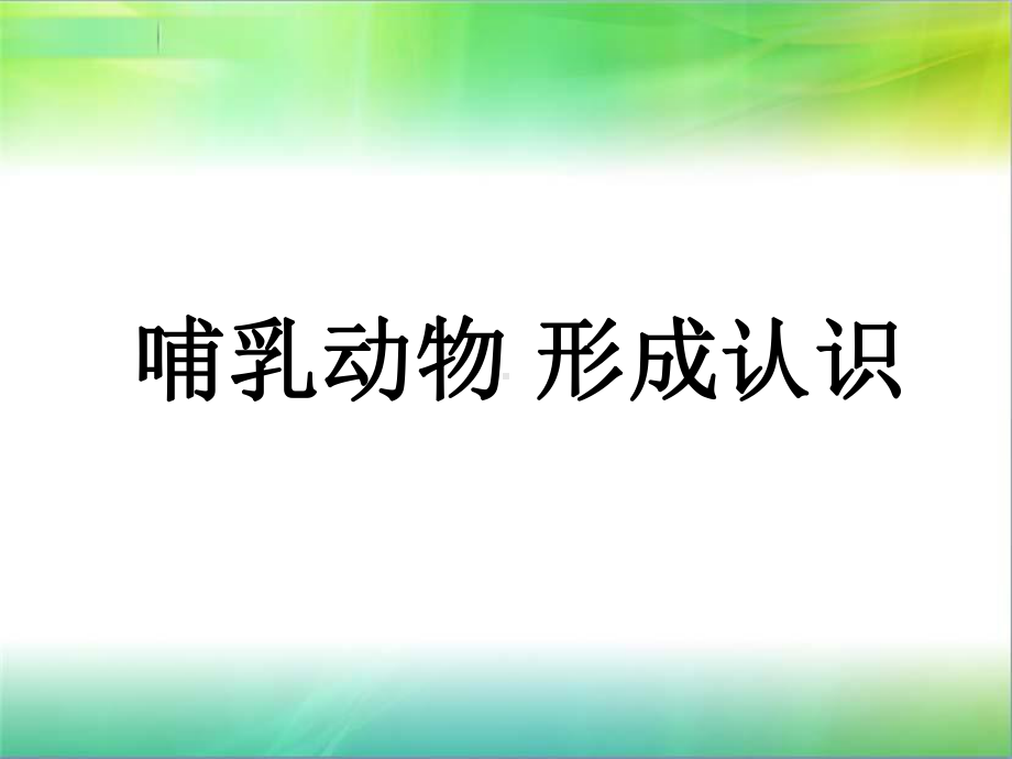 《哺乳动物-形成认识》课件1.ppt_第1页