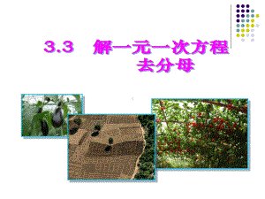 33-解一元一次方程-去分母课件.ppt