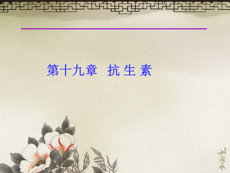 13第十九章抗生素第一节课件.ppt_第1页