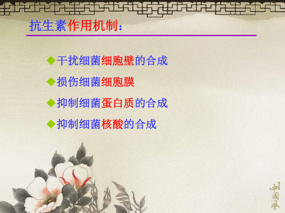 13第十九章抗生素第一节课件.ppt_第3页