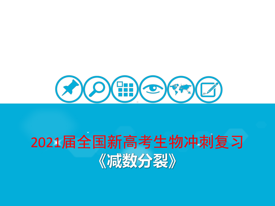 2021届全国新高考生物冲刺复习-减数分裂课件.pptx_第1页