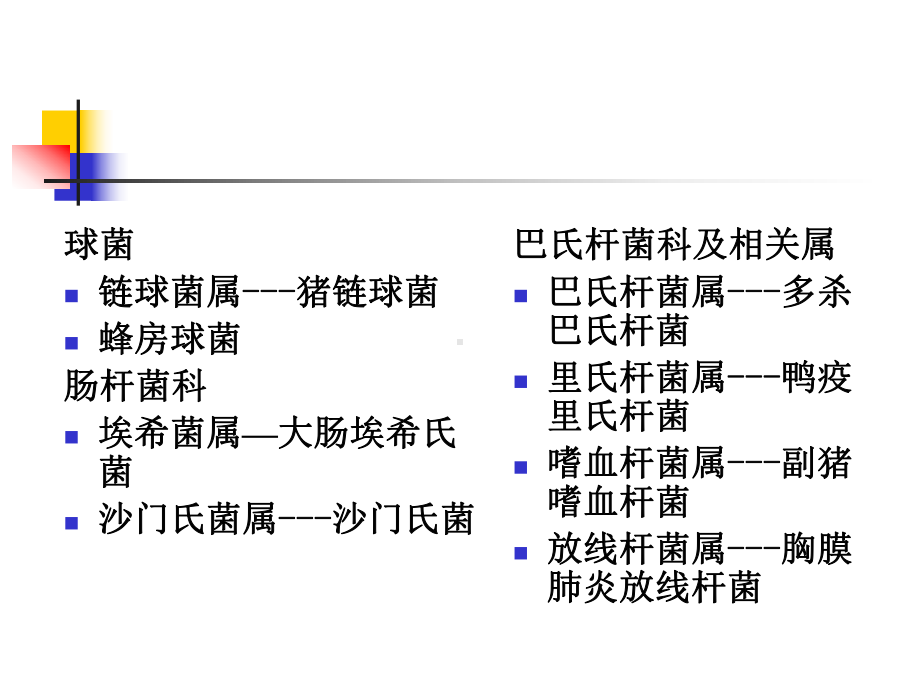 5主要的动物病原菌课件.ppt_第1页