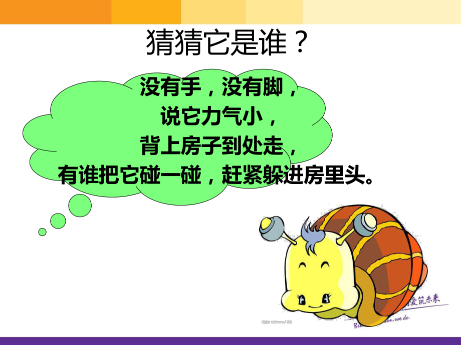 《我和动物交朋友》课件-002.ppt_第2页