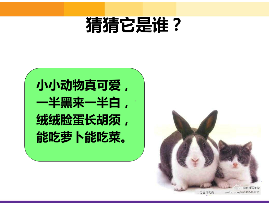 《我和动物交朋友》课件-002.ppt_第3页