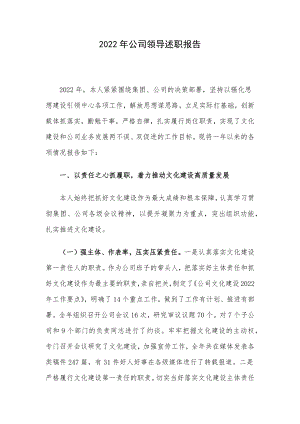 2022年公司领导述职报告.docx