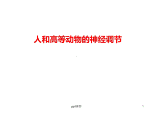 一轮复习-人和高等动物的神经调节课件.ppt