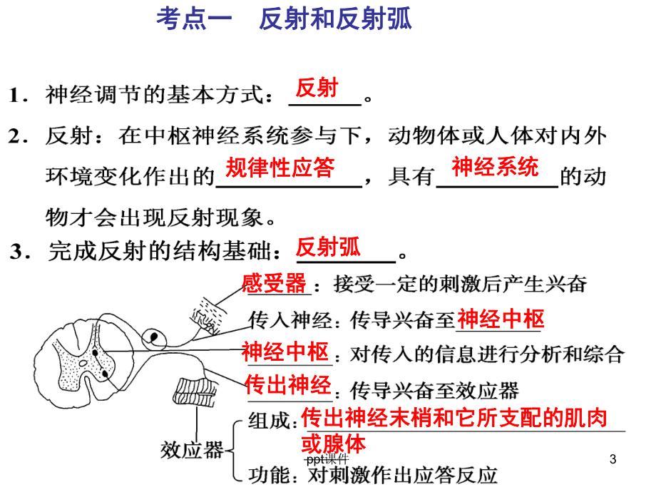 一轮复习-人和高等动物的神经调节课件.ppt_第3页