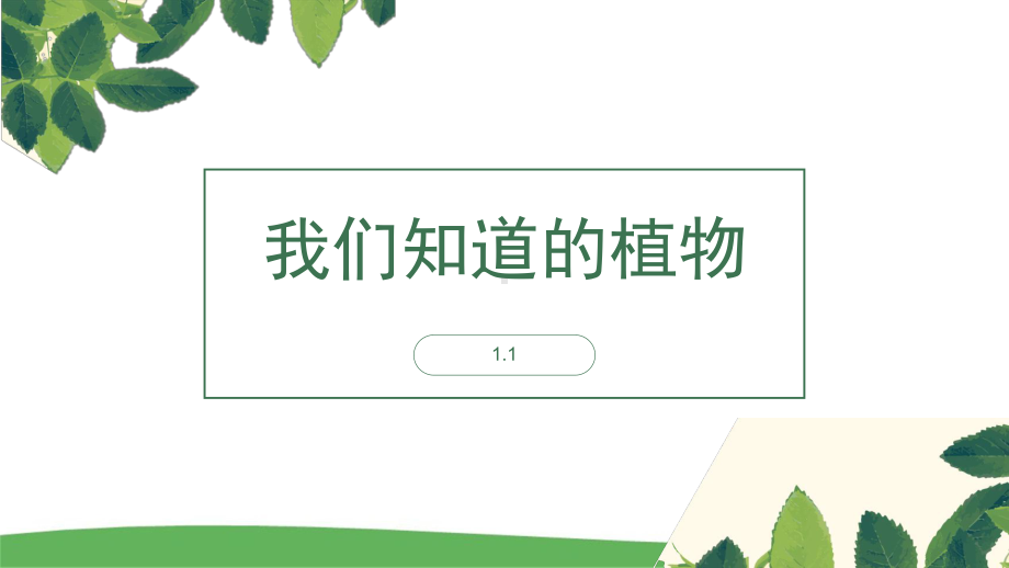 一年级上科学《我们知道的植物》优质课件教科版.pptx_第1页