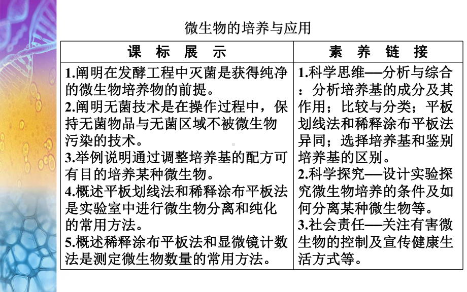 2021届全国新高考生物备考复习-微生物的培养与应用课件.pptx_第2页