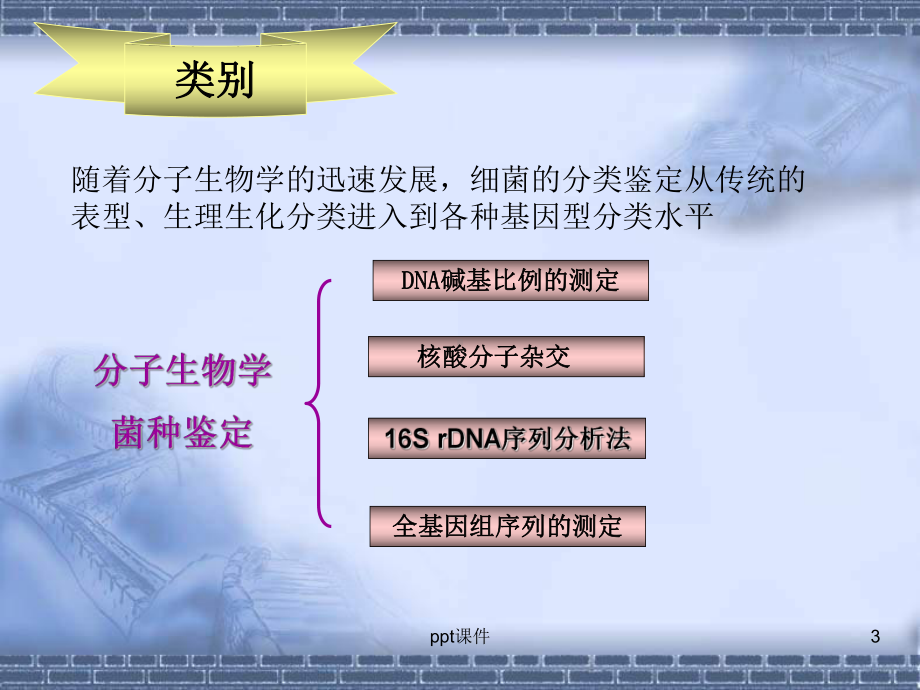 分子生物学方法鉴定微生物课件.ppt_第3页