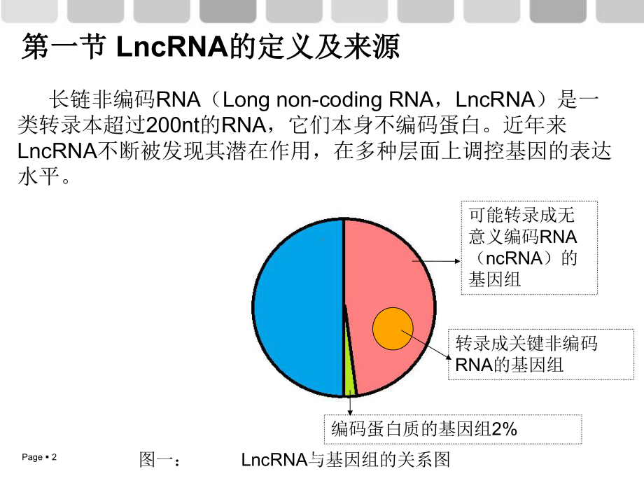 第七章LncRNA数据生物信息学分析课件.ppt_第2页