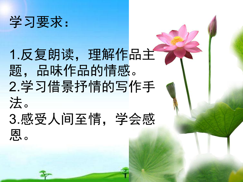 部编本新人教版七年级语文上册人教版七年级语文上册《荷叶母亲》课件.ppt_第3页