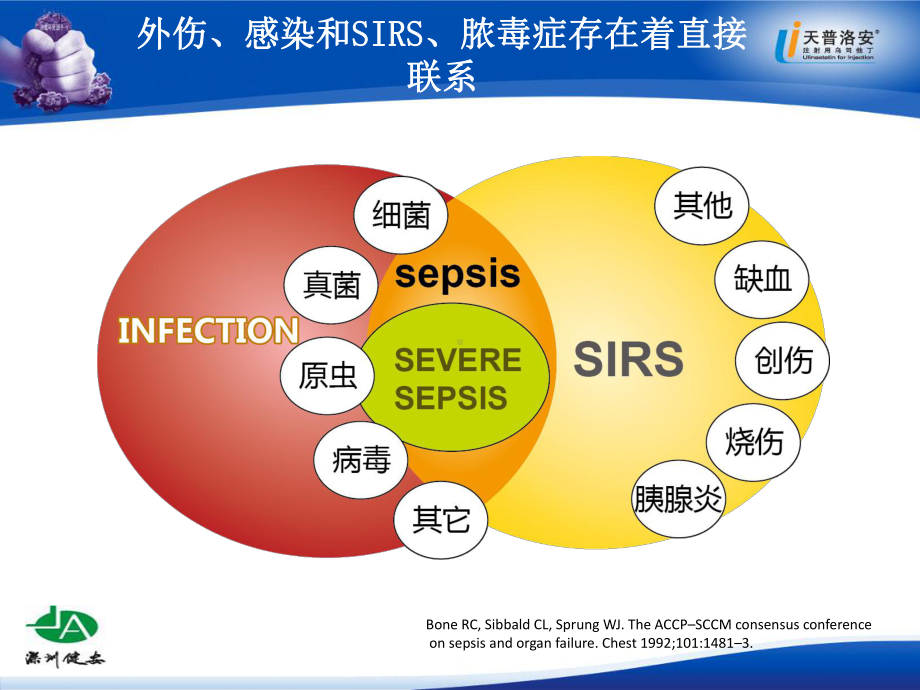 注射用乌司他丁课件.ppt_第2页