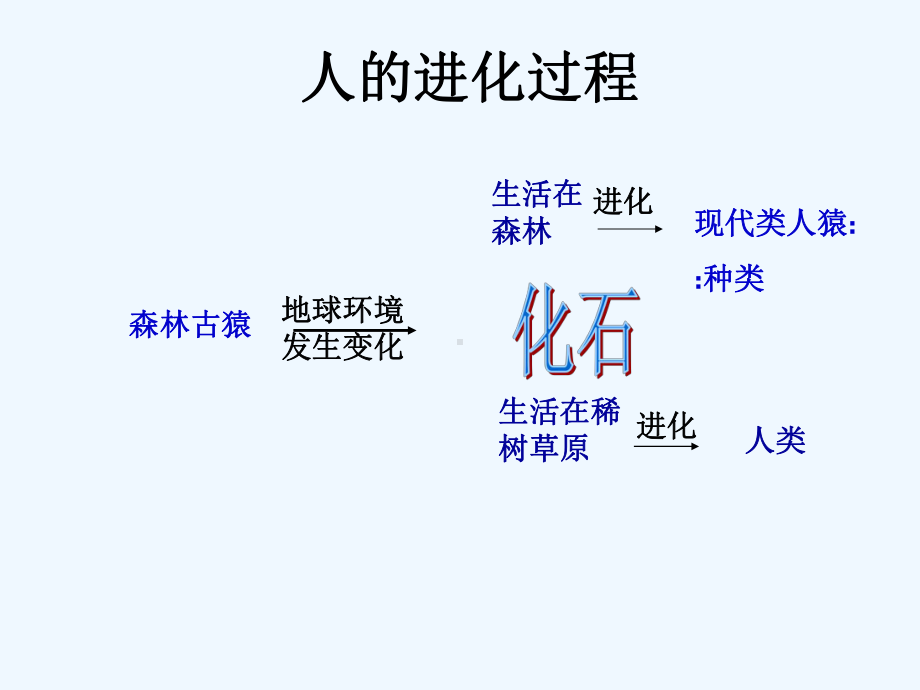 人的由来课件.ppt_第3页