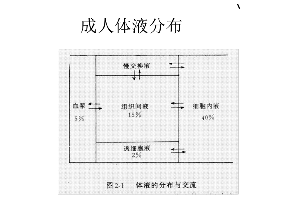 新生儿水电解质代谢紊乱课件.ppt_第2页