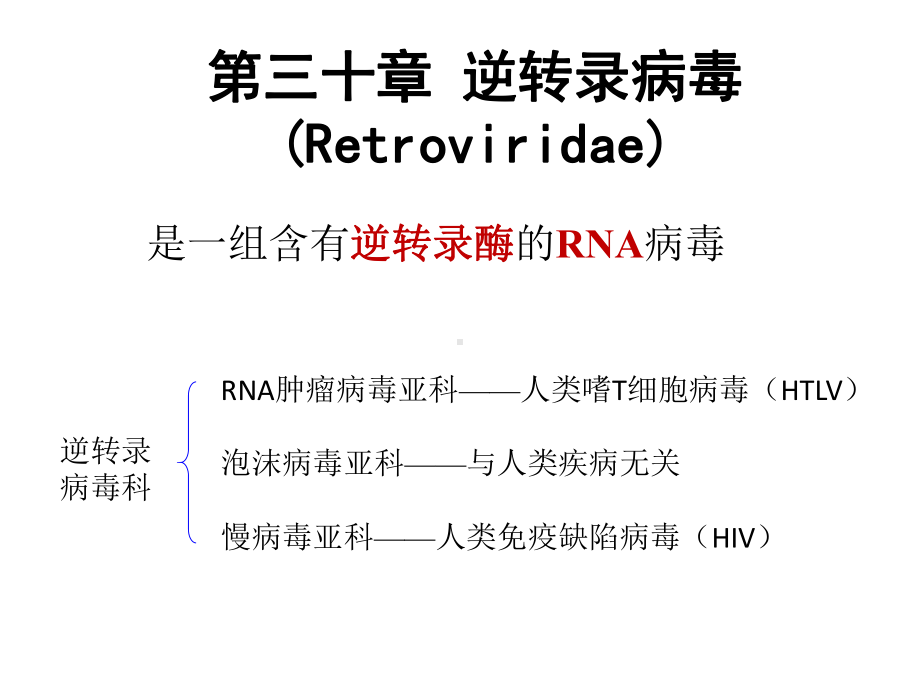 免疫缺陷继发肿瘤Kaposi肉瘤课件.ppt_第1页