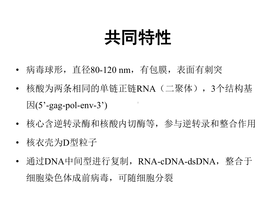 免疫缺陷继发肿瘤Kaposi肉瘤课件.ppt_第2页