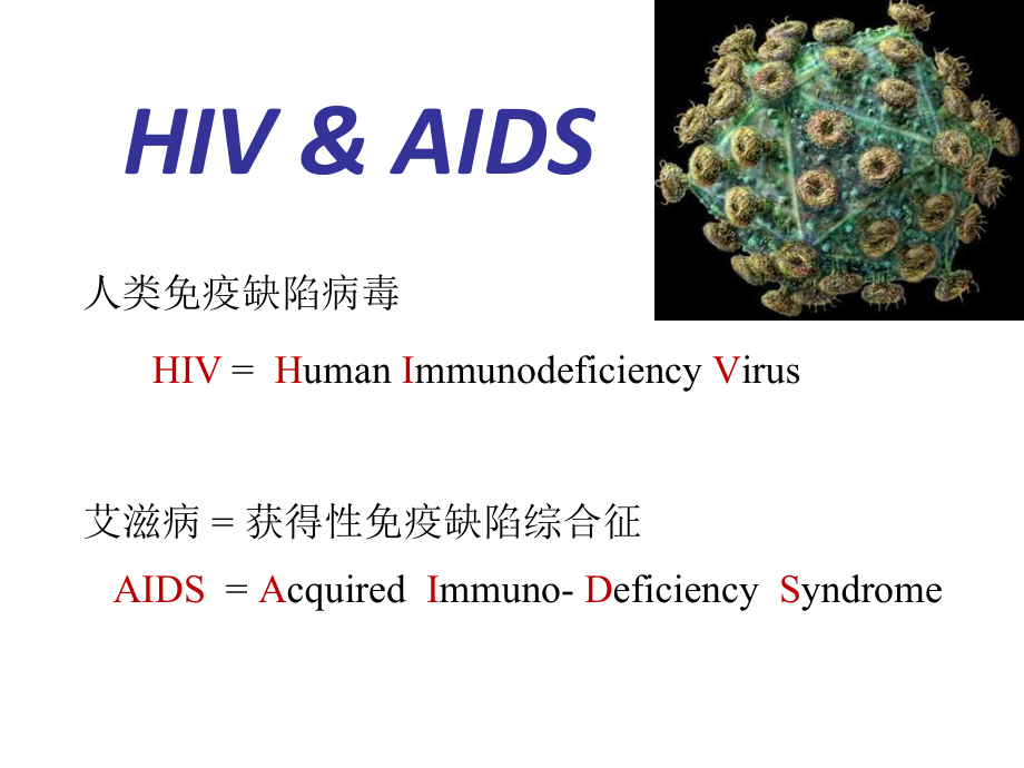 免疫缺陷继发肿瘤Kaposi肉瘤课件.ppt_第3页