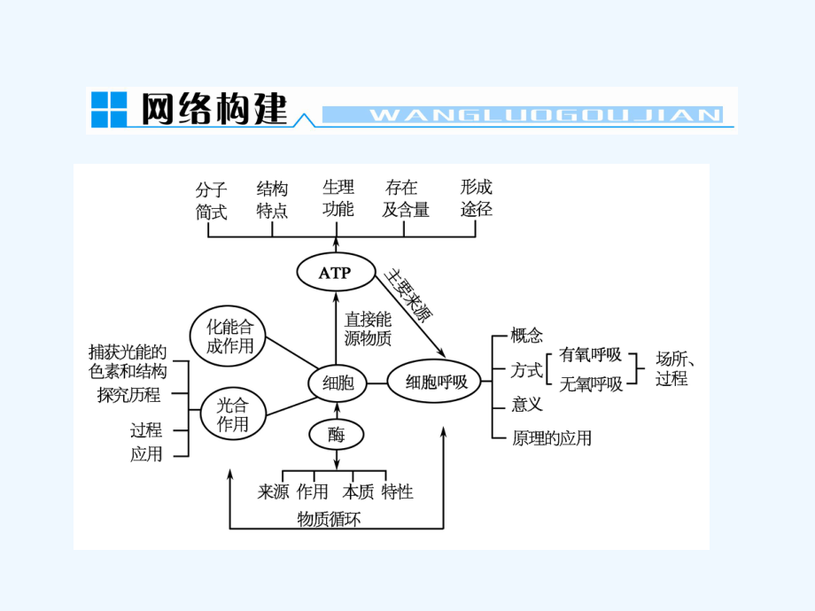 细胞代谢与酶课件.ppt_第1页