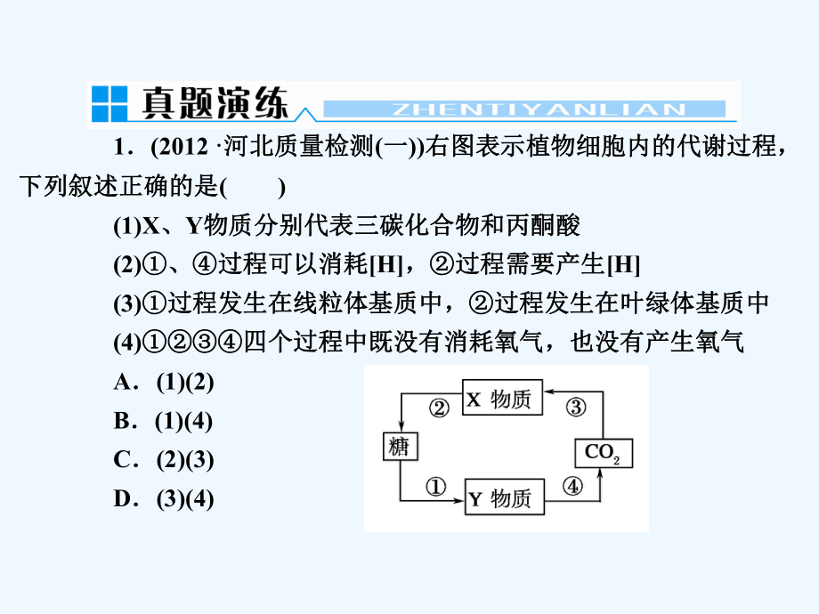 细胞代谢与酶课件.ppt_第3页