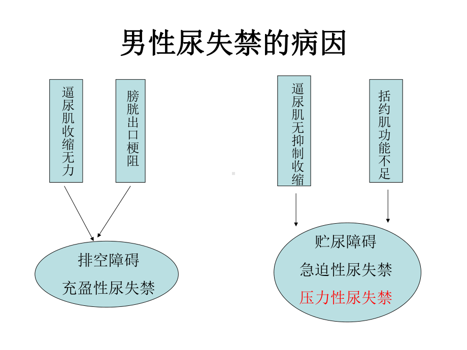 充盈性尿失禁尿道因素课件.ppt_第3页