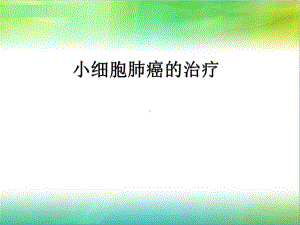 小细胞肺癌的治疗课件.ppt