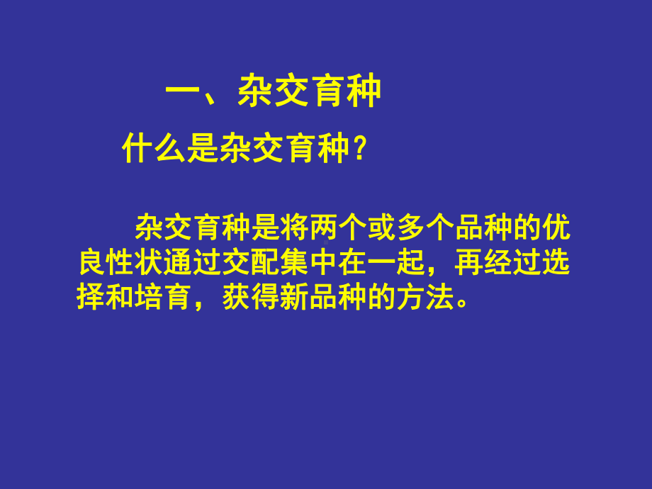 怎样才能得到矮秆抗病的优良品种ddTT课件.ppt_第3页