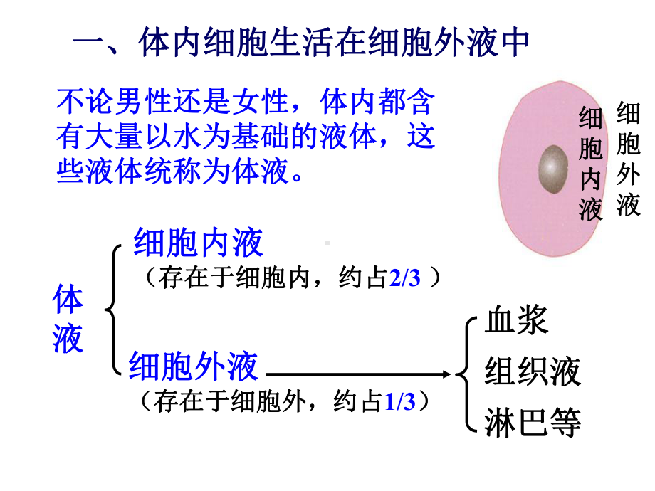 人教版高中生物期末总复习课件(必修三).ppt_第3页