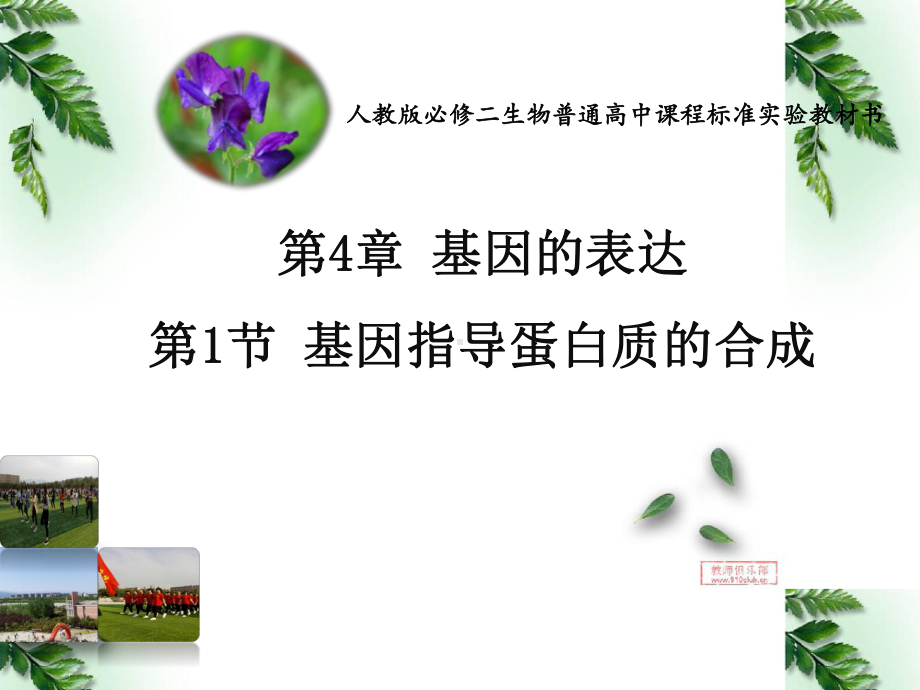 高中生物必修二第四章第一节基因指导蛋白质的合成课件.pptx_第1页