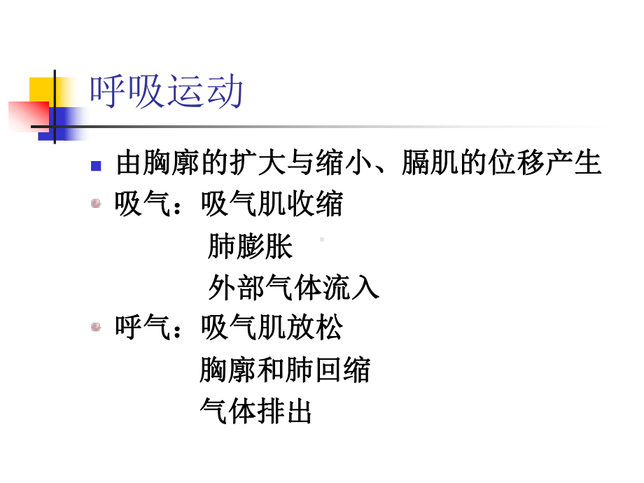 呼吸训练讲课课件.ppt_第2页