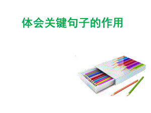 体会关键句子的含义课件.ppt