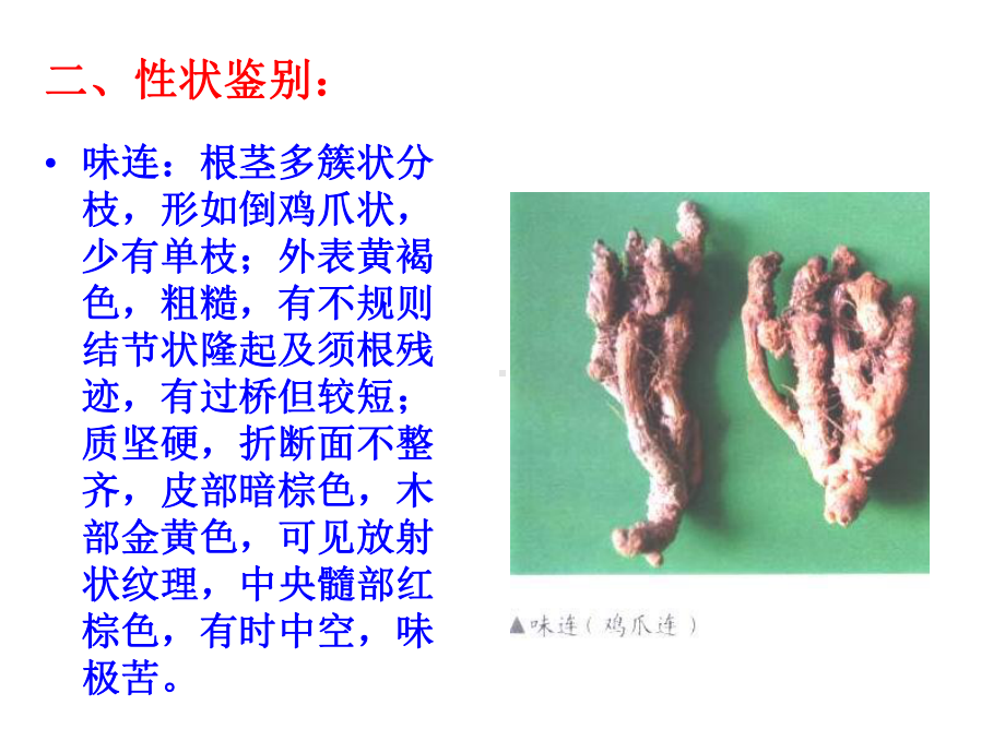 黄连教学课件.ppt_第3页