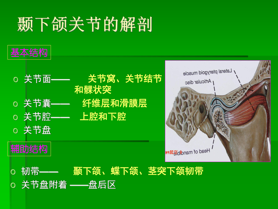 颞下颌关节紊乱病课件.ppt_第3页