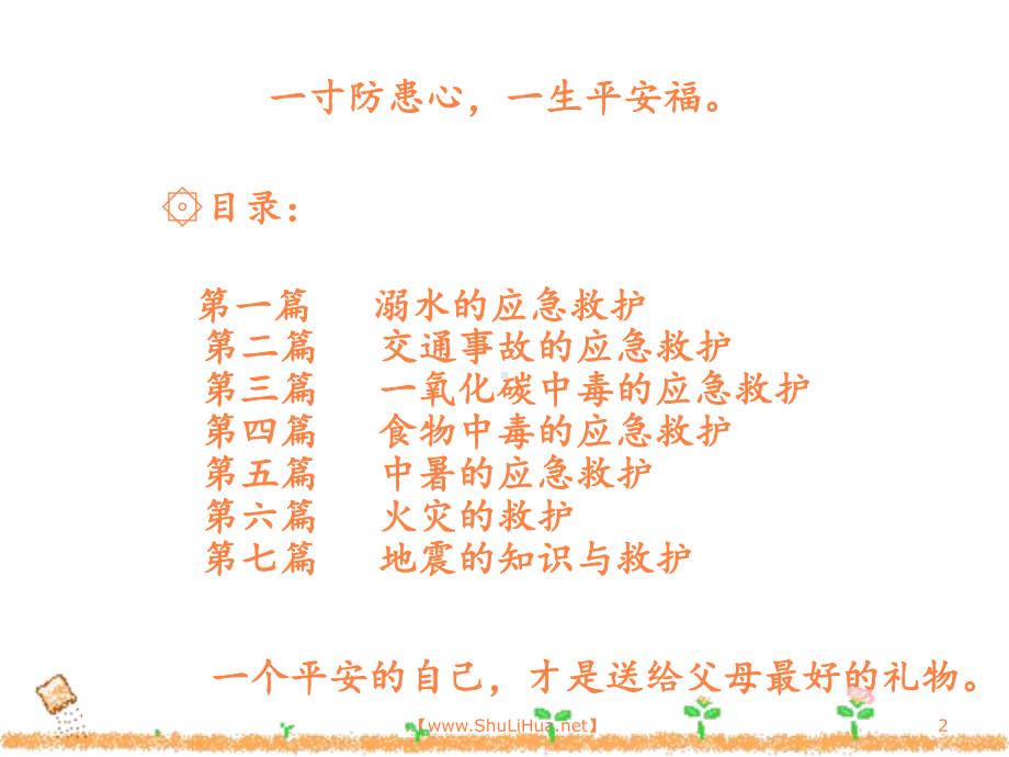 小学生应急救护知识培训课件.ppt_第2页