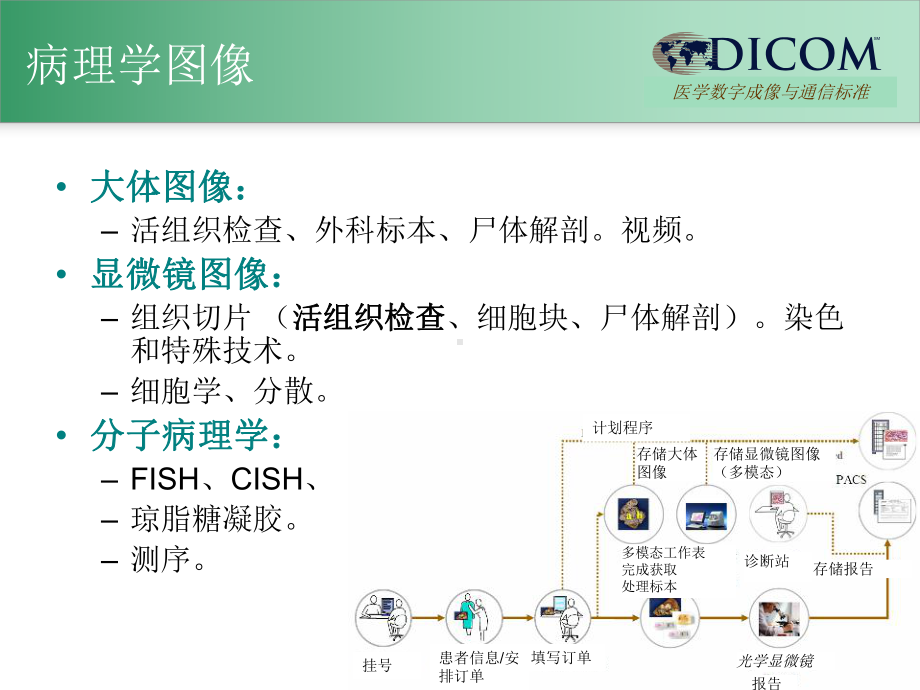 取消旧版的DICOM标本鉴定模块医学数字成像与通信标准课件.ppt_第3页