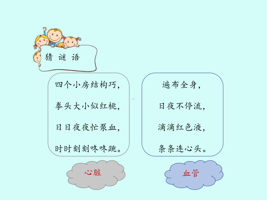 苏教版小学五年级科学上册心脏和血液循环-课件1.ppt_第2页