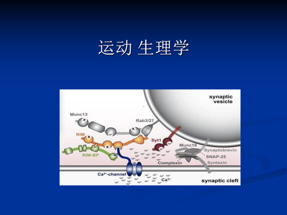 运动生理学课件(全).ppt_第1页