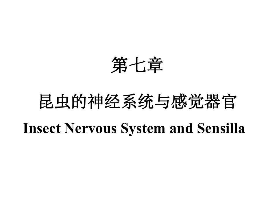 第七章—昆虫的神经系统与感觉器官课件.ppt_第1页