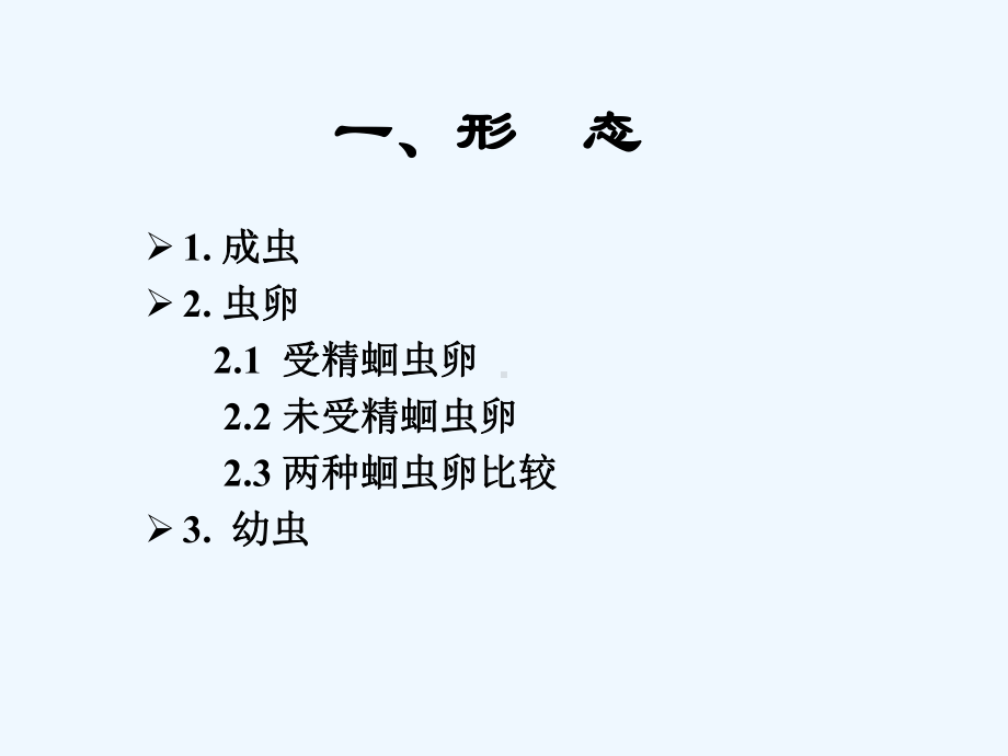 人体寄生虫学课件线虫.ppt_第3页