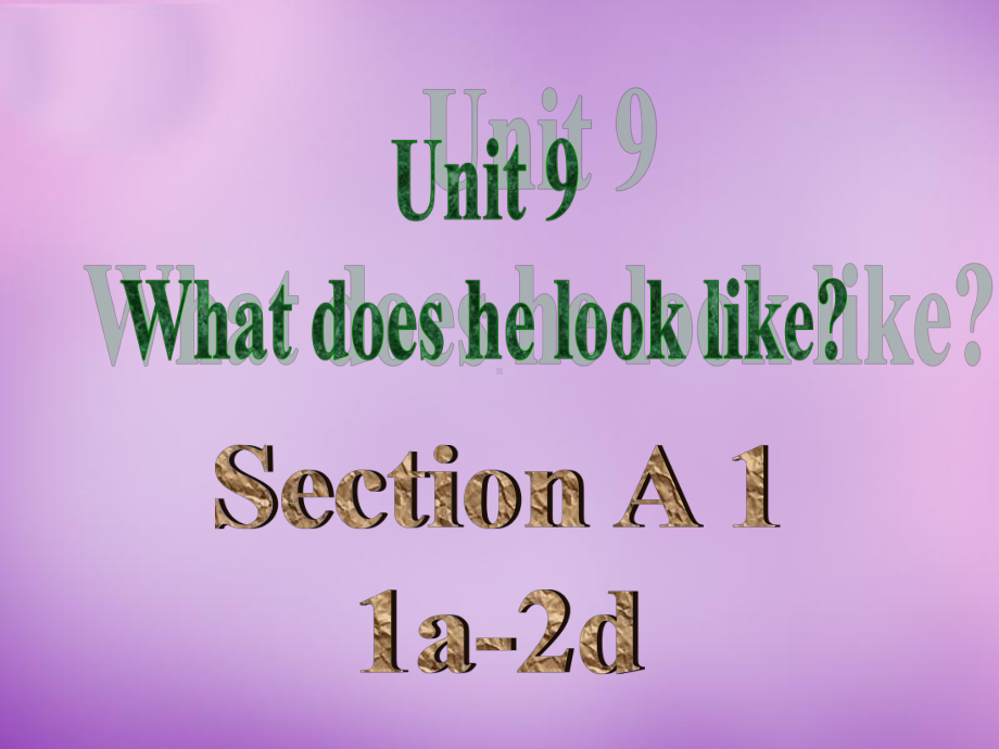 七年级英语下册Unit9whatdoeshelooklikeSectionA课件1(新版)人教新目标版.ppt（纯ppt,不包含音视频素材）_第2页