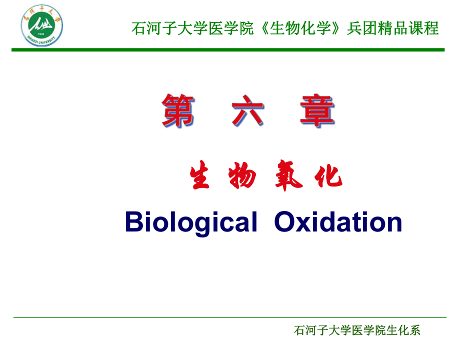 第七章-石河子大学课件.ppt_第1页