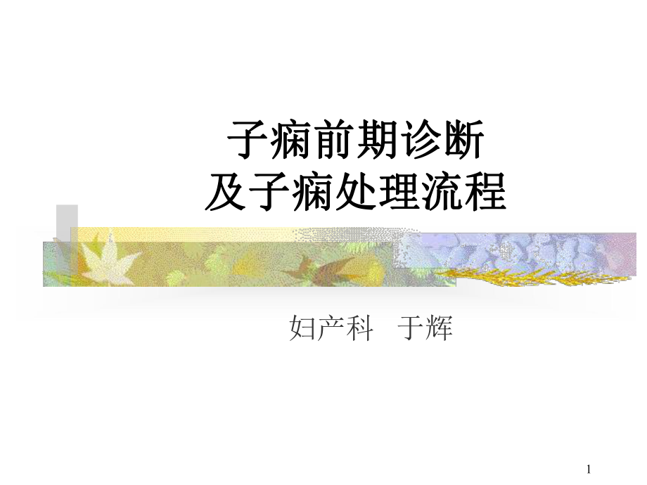 子痫前期诊断及子痫处理PowerPoint-演示文稿课件.ppt_第1页