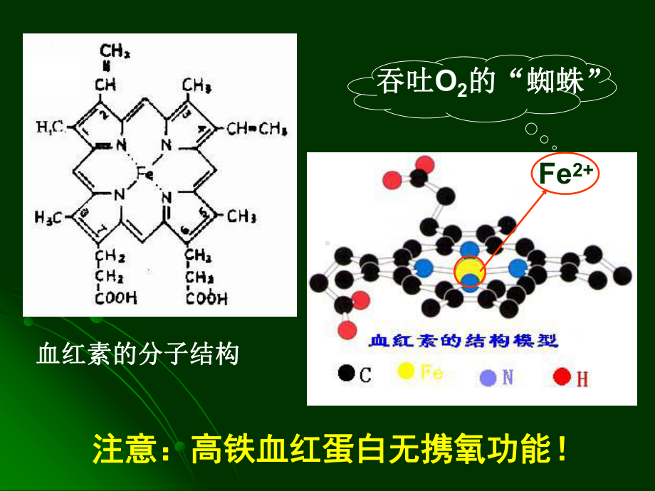 铁与生命动力课件.ppt_第3页