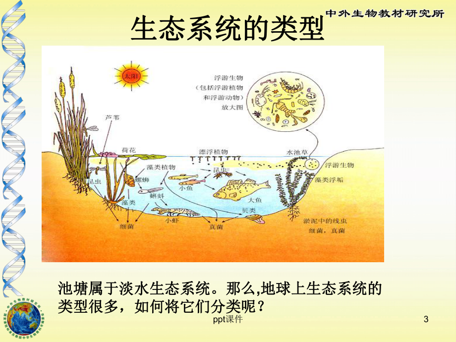 生物圈中的各种生态系统课件.ppt_第3页